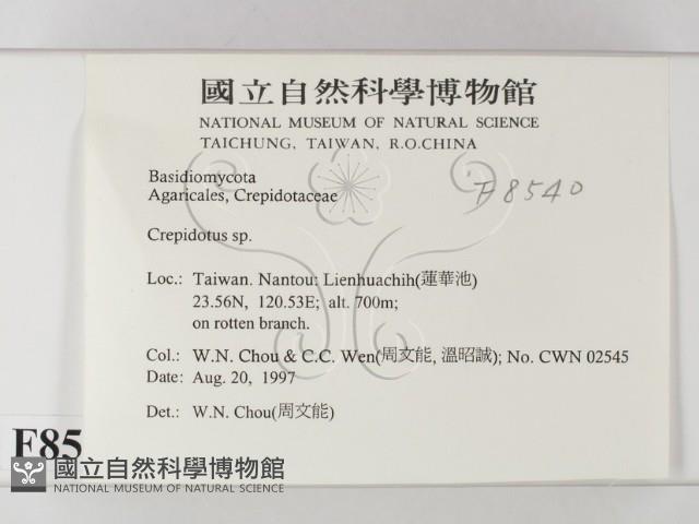 登錄號:F0008540藏品圖，第2張