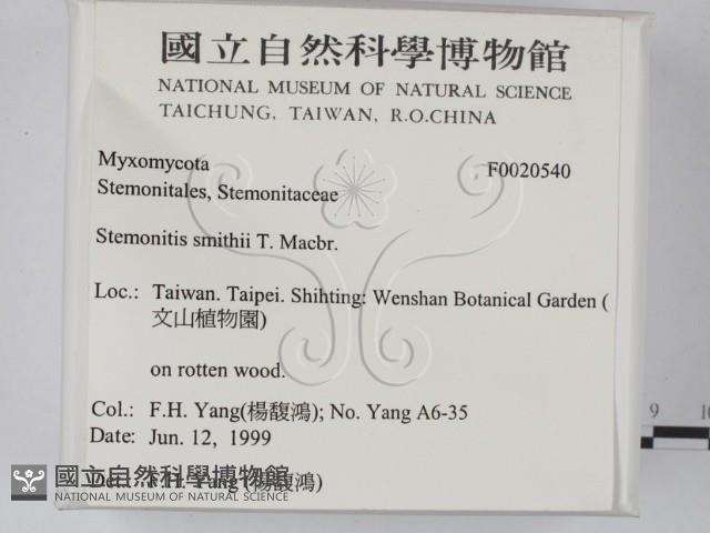 登錄號:F0020540藏品圖，第2張