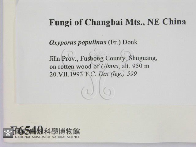 登錄號:F0006540藏品圖，第2張