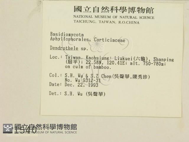 登錄號:F0001540藏品圖，第2張