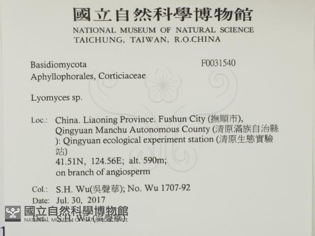 登錄號:F0031540藏品圖，第2張