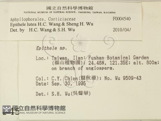 登錄號:F0004540藏品圖，第2張