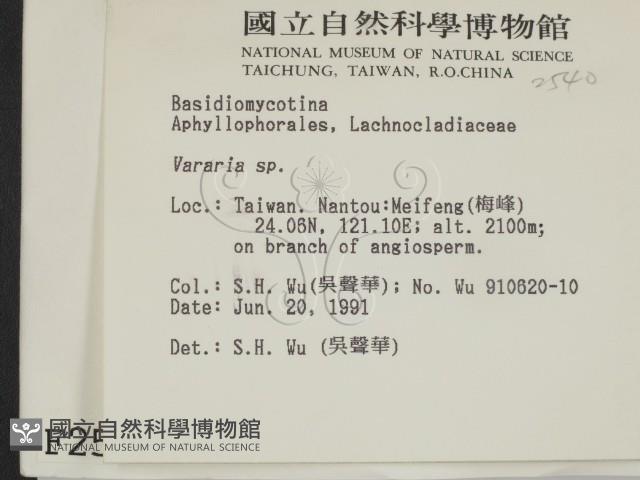 登錄號:F0002540藏品圖，第2張