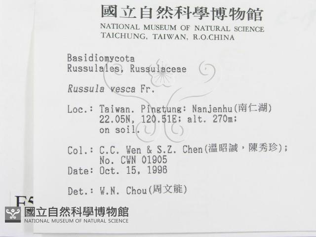 登錄號:F0005540藏品圖，第2張