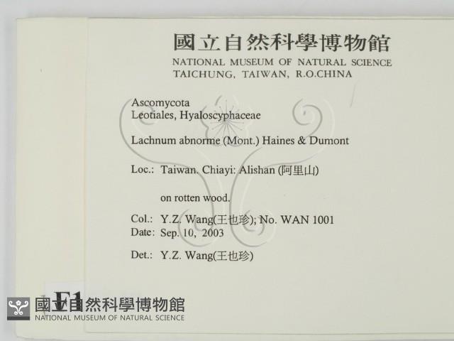 登錄號:F0015540藏品圖，第2張