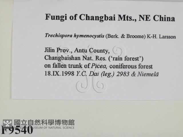 登錄號:F0009540藏品圖，第2張