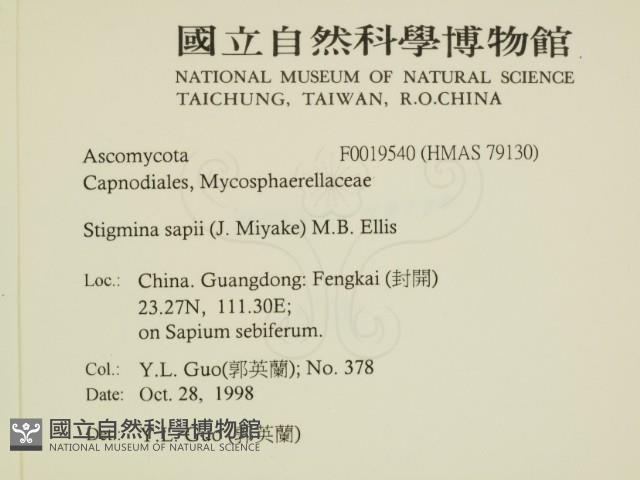 登錄號:F0019540藏品圖，第2張