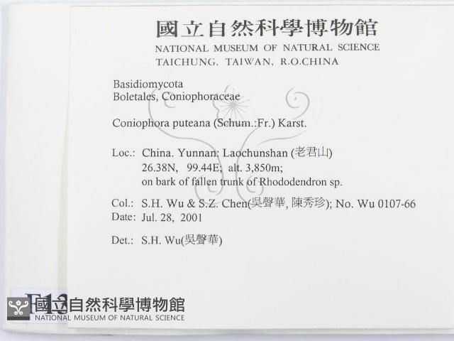 登錄號:F0013540藏品圖，第2張