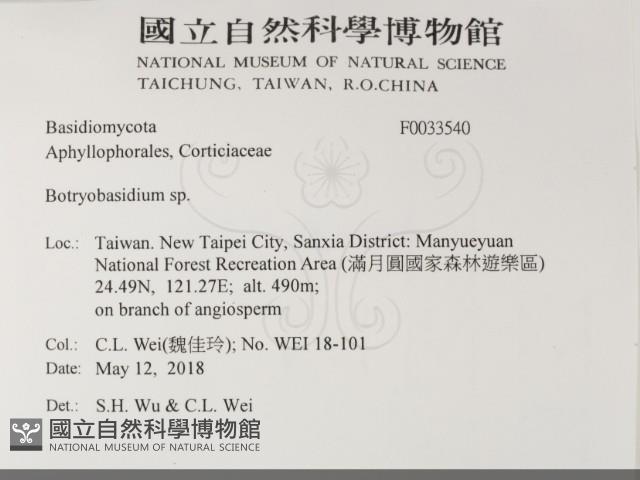 登錄號:F0033540藏品圖，第2張