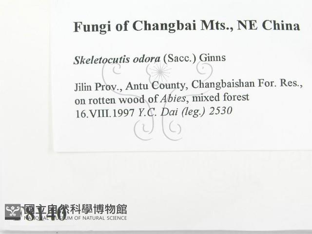 登錄號:F0008140藏品圖，第2張