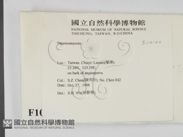 登錄號:F0010140藏品圖，第2張