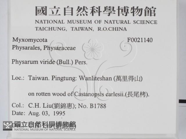 登錄號:F0021140藏品圖，第2張