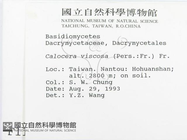 登錄號:F0001140藏品圖，第2張