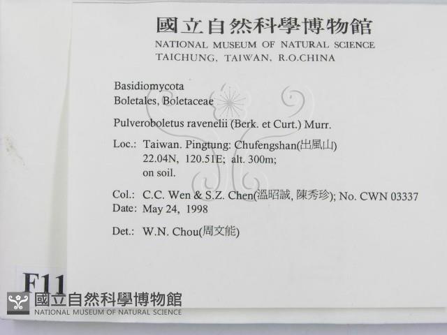 登錄號:F0011140藏品圖，第2張