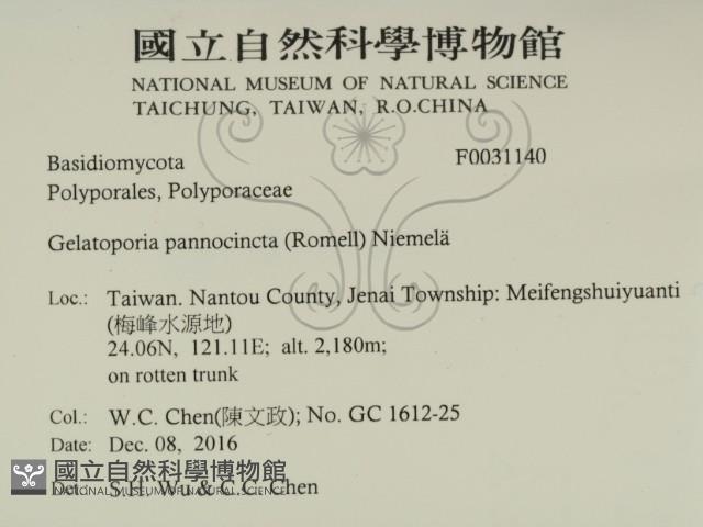 登錄號:F0031140藏品圖，第2張