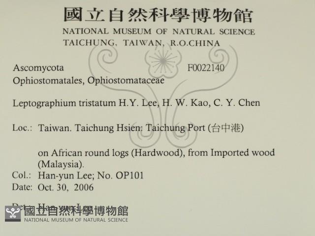 登錄號:F0022140藏品圖，第2張