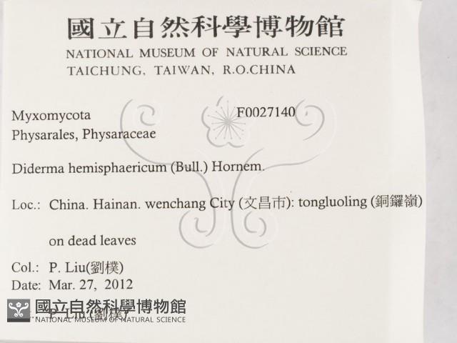 登錄號:F0027140藏品圖，第2張