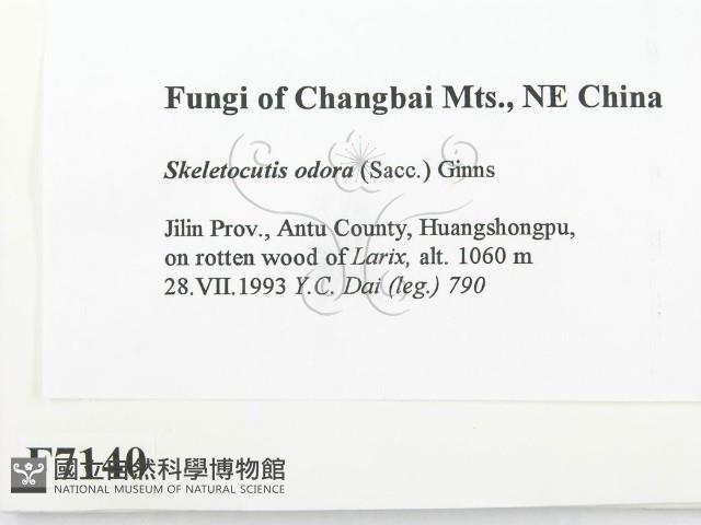 登錄號:F0007140藏品圖，第2張