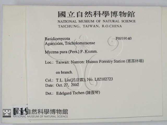 登錄號:F0019140藏品圖，第2張