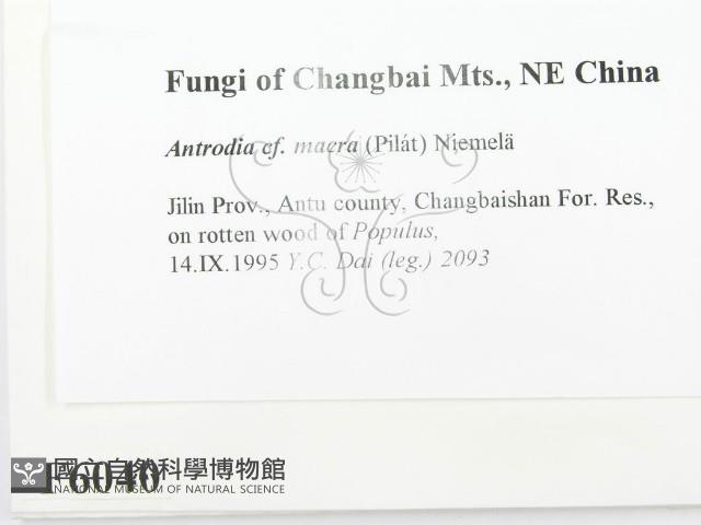 登錄號:F0006040藏品圖，第2張