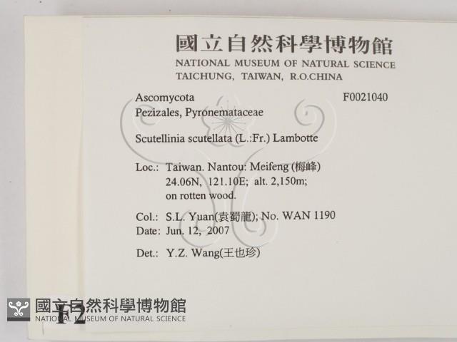 登錄號:F0021040藏品圖，第2張