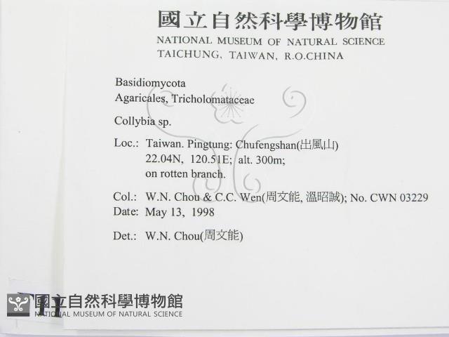 登錄號:F0011040藏品圖，第2張