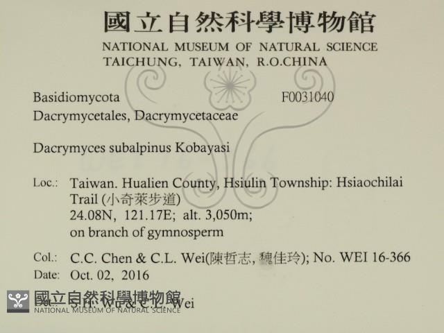 登錄號:F0031040藏品圖，第2張