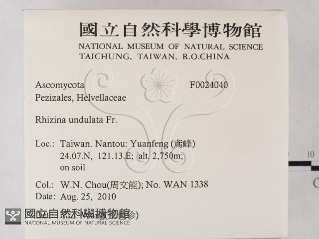 登錄號:F0024040藏品圖，第2張