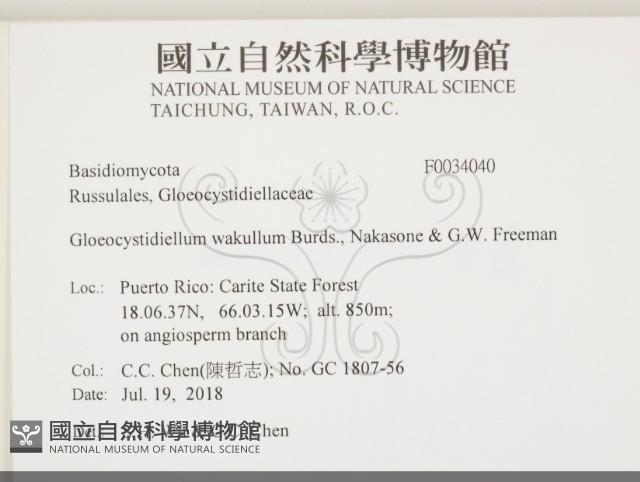 登錄號:F0034040藏品圖，第2張