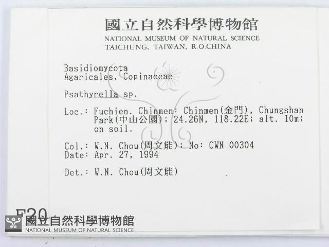 登錄號:F0002040藏品圖，第2張