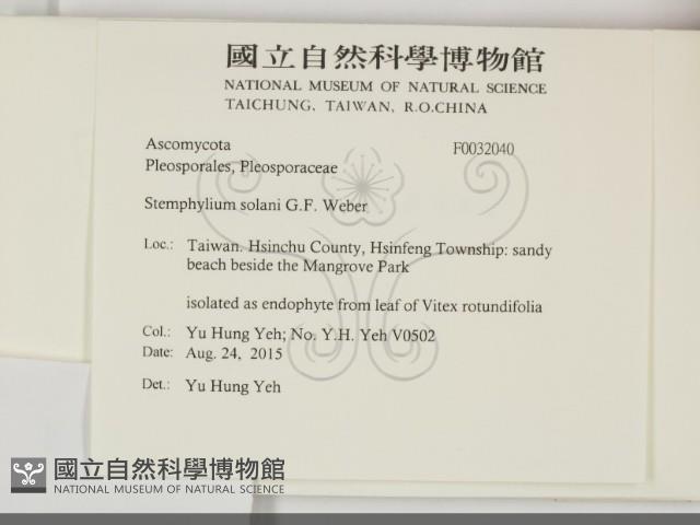 登錄號:F0032040藏品圖，第2張