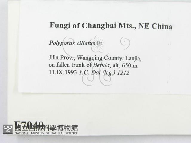 登錄號:F0007040藏品圖，第2張