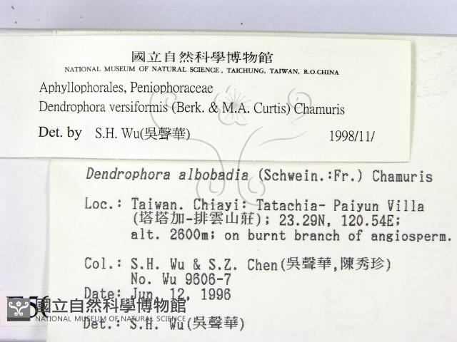 登錄號:F0005040藏品圖，第2張