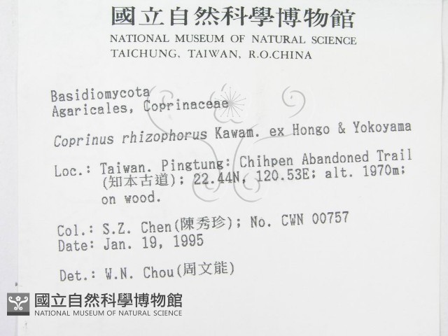 登錄號:F0003040藏品圖，第2張