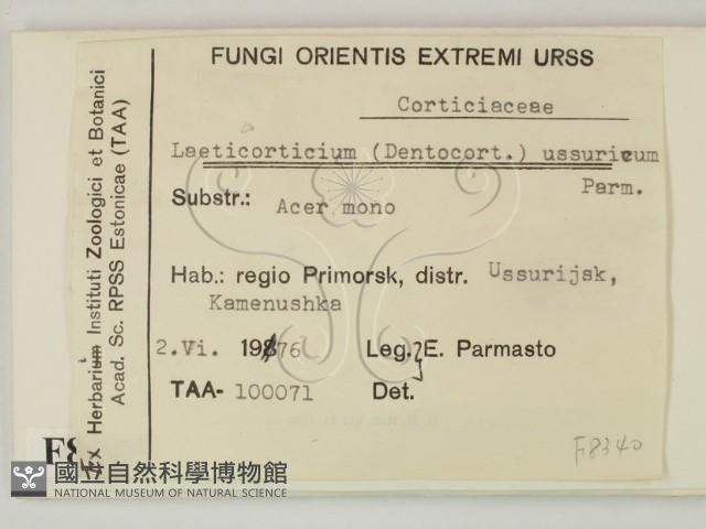 登錄號:F0008340藏品圖，第2張