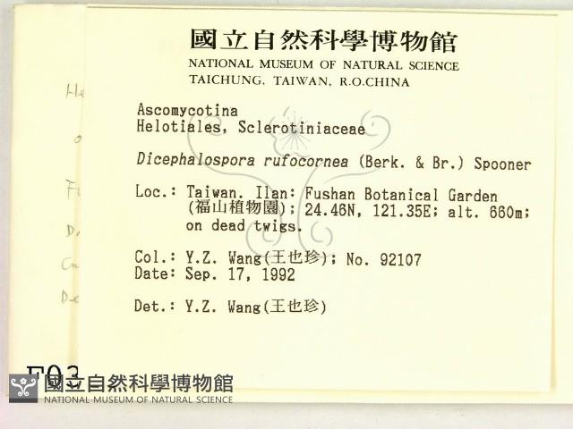 登錄號:F0000340藏品圖，第2張