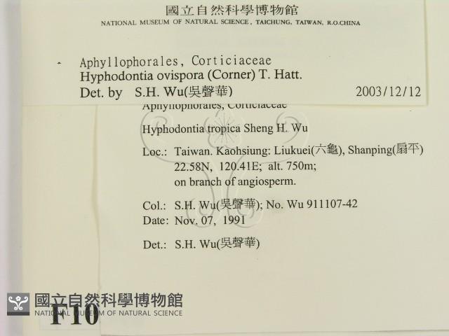 登錄號:F0010340藏品圖，第2張