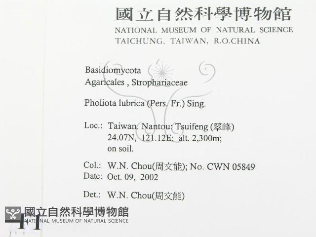 登錄號:F0016340藏品圖，第2張