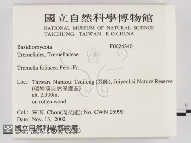 登錄號:F0024340藏品圖，第2張