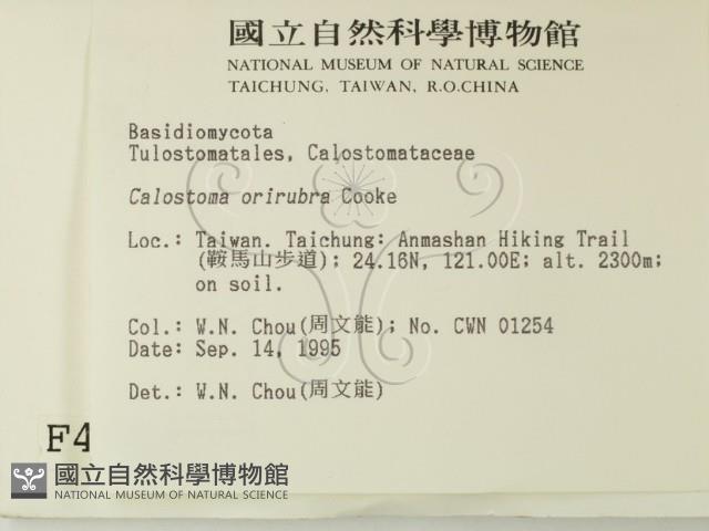 登錄號:F0004340藏品圖，第2張