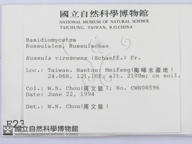 登錄號:F0002340藏品圖，第2張