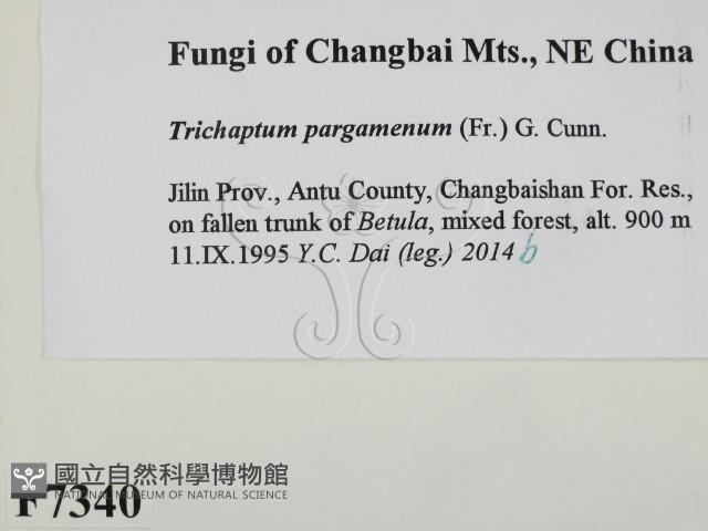 登錄號:F0007340藏品圖，第2張