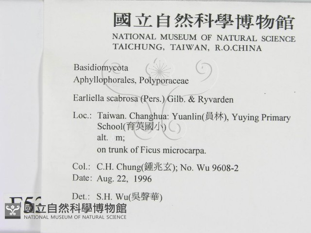 登錄號:F0005340藏品圖，第2張