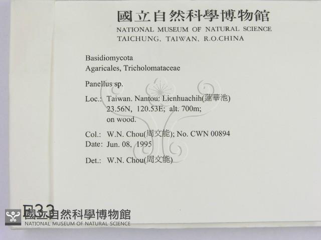 登錄號:F0003340藏品圖，第2張