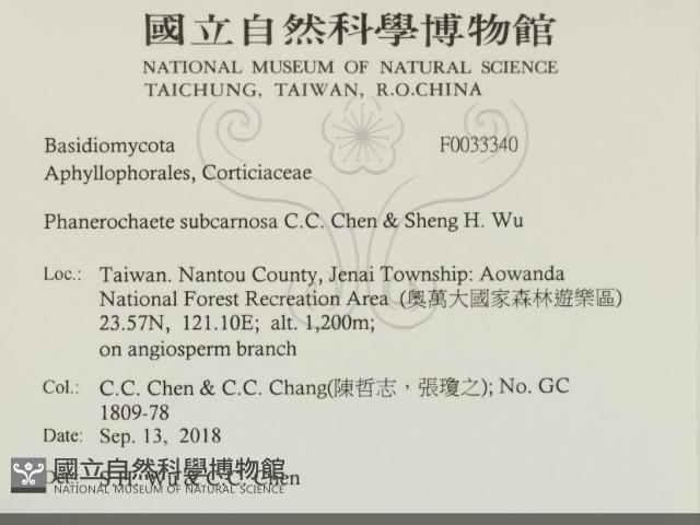 登錄號:F0033340藏品圖，第2張