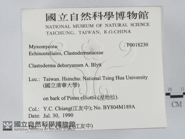 登錄號:F0018230藏品圖，第2張