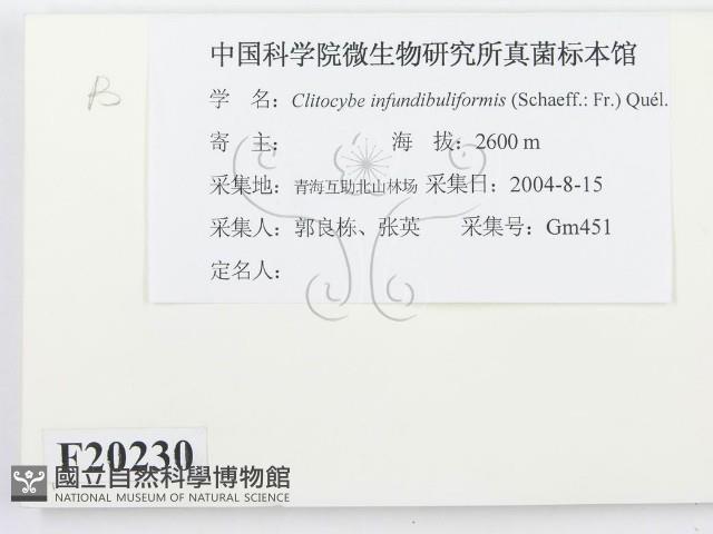 登錄號:F0020230藏品圖，第2張