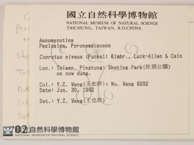 登錄號:F0000230藏品圖，第2張