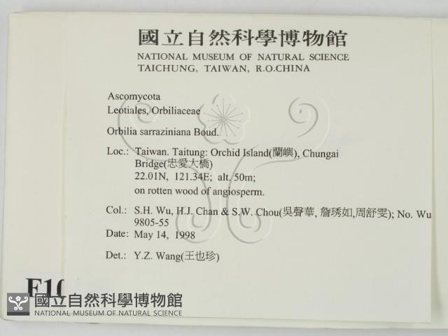 登錄號:F0010230藏品圖，第2張