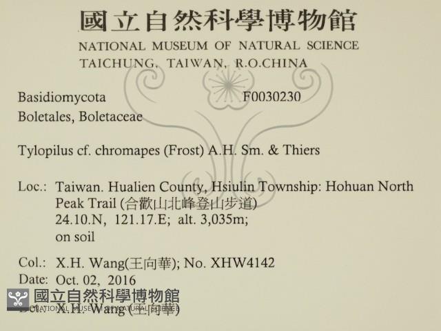 登錄號:F0030230藏品圖，第2張